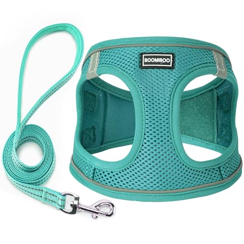 Dog Harness with Leash Set, Step-in Adjustable Puppy Vest, Forest Green XXS | Lightweight Breathable Air Mesh, Night Safety Reflective, No Pull Puppy Vest Harnesses for Small Medium Large Dogs, Cats - color: Forest Green, size: XXS(Chest:10"-12")