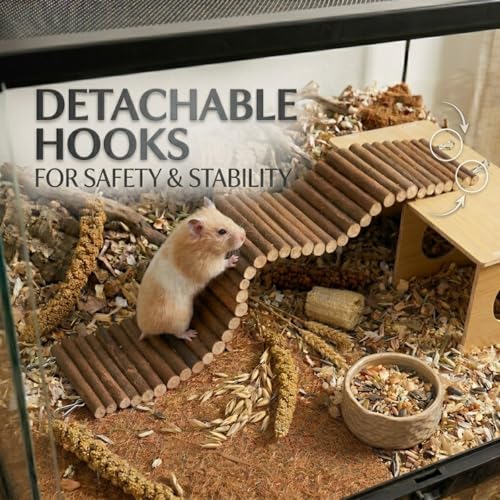 Hamster Hideout Tunnel and Hamster Bridge Set, Wooden Hamster Cage Accessories, Hamster Platform and Hamster Toys, 2-Chamber Multi-Room Climbing Toy for Syrian Dwarf Hamsters, Gerbils, Rats