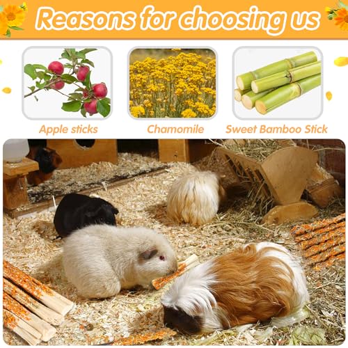 Apple Sticks for Rabbits, Natural Bunny Chew Toys Wood Treats Food for Small Animals,Hamsters, Chinchillas Squirrel Bunny Guinea Pigs Small Pet Apple Chew Sticks