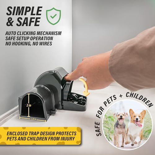 TRATPER Rat and Chipmunk Traps. Prevents Accidental Triggering with Dual Tunneled Design. Covered Snap Traps for Humane Kill, Reusable, Pest Control for Rats, Indoor & Outdoor Use. 2 Pack - size: 2 Pack
