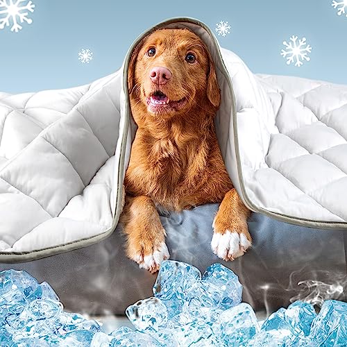Leekalos Dog Cooling Mat,Pet Cooling Pads for Dogs Blanket,Summer Cooling Bed for Cats Blanket,Portable Pet Cooling Cushion for Home & Outdoor，Keep Cooling for Pets (Cool Grey, Small(22"x28")) - color: Cool Grey, size: Small(22"x28")