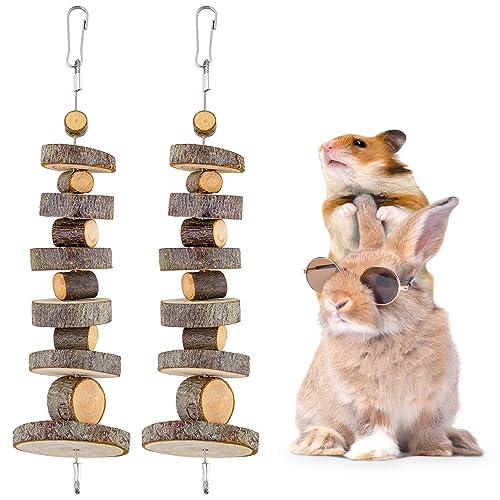 Small Animal Chews Toy Apple Wood Block Cage Hanging Molars Treats Snack | for Hamsters Rabbits Bunny Bird Parrots Chinchilla Guinea Pig Gerbils Squirrels, 2 Pack