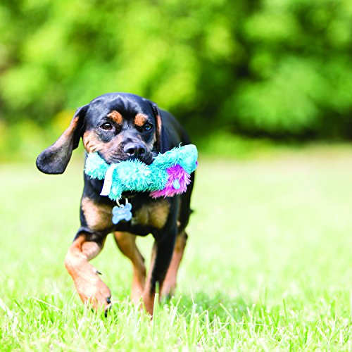 KONG Cozie Baily The Blue Dog, Medium Dog Toy, Blue - size: Medium, style: Baily the Blue Dog
