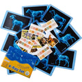 10 Pcs Farm Animal Xrays - Light Table Accessories | Vet Role Play & Preschool Learning Farm Animal X-Ray Set - style: Farm Series
