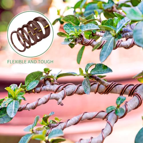 Mudder 5 Roll Aluminum Bonsai Training Wire Tree 1/1.5/2.0/4/6mm 85 Feet Total with Bonsai Wire Cutter Anodized Training for Holding Branches Small Trunks(Brown) - color: Brown, size: 1/1.5/2/4/6mm