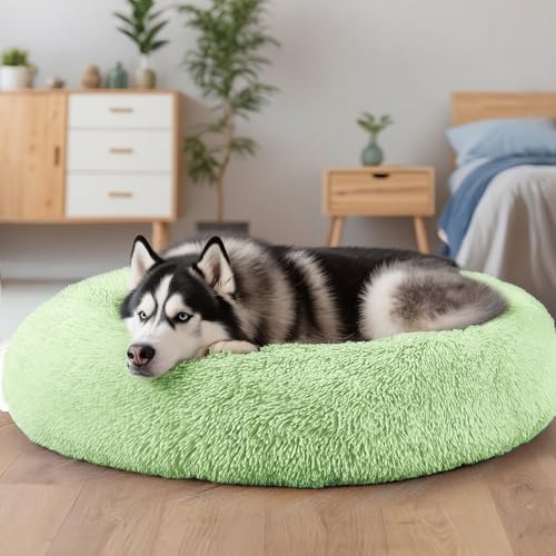 Extra Large Dog Beds, 36 Inch Human Dog Anxiety Relief Comfort Bed, Indestructible & Chew Proof Pet Beds (Green) - color: Green, size: 36.0"L x 36.0"W x 8.0"Th