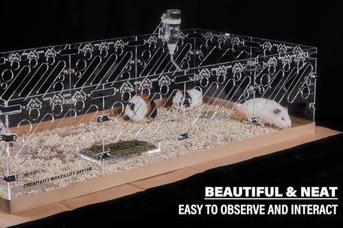 Acrylic Guinea Pig Cages - 4x2ft Small Animal Cage | DIY Extendable | Easy-to-Clean Disposable Bottom (Without Lid) - color: 2x4 ft Cage