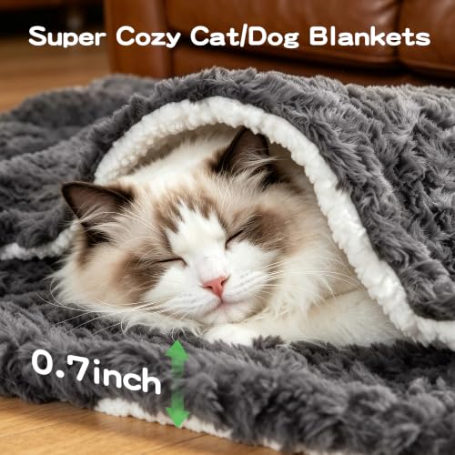 Self-Warming Dog Blankets for Small & Medium Dogs - Double-Sided Thick Plush, Comfort Rabbit Fur & Sherpa Washable Puppy Blanket for Couch & Bed Protector, Cozy Pet Blanket, 25"X35" Dark Grey - color: Dark Grey, size: Large 25×35 inch