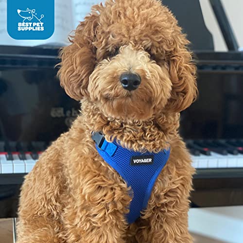 Voyager Step-in Lock Dog Harness - Baby Blue, Large | 20 - 25" in Chest, Adjustable, Breathable Air Mesh, Lightweight for Daily Walks, Strong Clips, Heavy Duty D-Ring - color: Harness (Baby Blue), size: L (Chest: 20 - 25")
