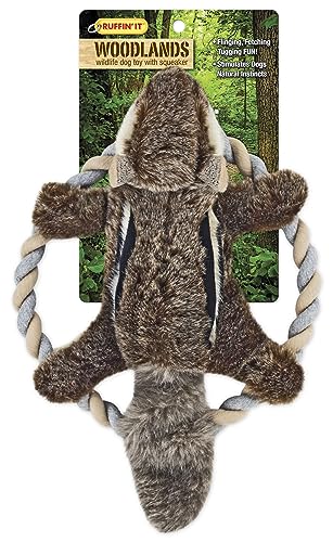 RUFFIN' IT Rhode Island Textile Woodlands Chipmunk Plush Dog Toy with Rope Chew Ring, Mutli, 8.5 inch (Pack of 1), All Breed Sizes - size: Small, style: Chipmunk