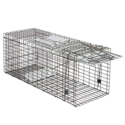 32 Inch Live Animal Cage Trap, One-Door Collapsible Catch and Release Humane Rodent Cage for Rabbits, Raccoon, Stray Cat, Squirrel, Mole, Gopher, Opossum, Skunk, Groundhog, Armadillos - style: 32" X 12" X 12.5" w/Iron Door