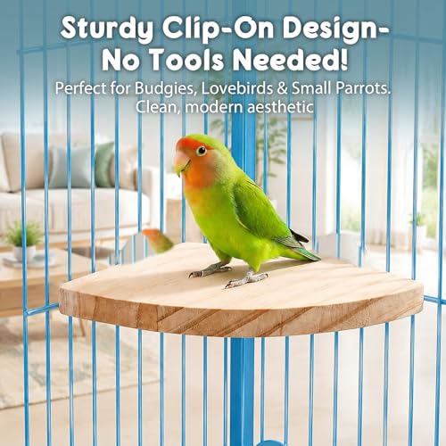 2Pcs Flat Bird Perches for Cage Parakeet Platform Stand | Bird Cage Perch Fan Shape and Rectangle Birds Cage Platform Parakeet Cage Accessories Exercise Toy for Bird Parrots Cockatiel