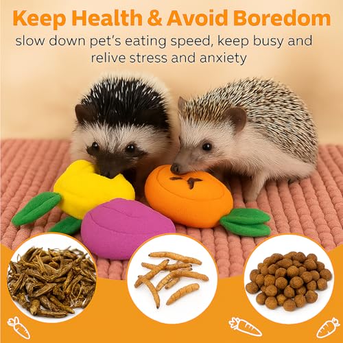 5Pcs Hedgehog Foraging Toy – Snuffle Mat, Snuffle Ball & Carrot Treat Toys for Hedgehog Cage Enrichment, Interactive Feeding Toys for Hedgehog, Rabbit & Guinea Pig, Small Pet Foraging Toys