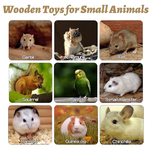 8 Pcs Wooden Hamster Cage Platform Set Wood Juvenile Chinchilla Shelves, Squirrel L-Shape Corner Ledge with Hole Cooling Standing Board Rat Cage Accessories for Gerbil Small Animal Climbing - size: 8PCS