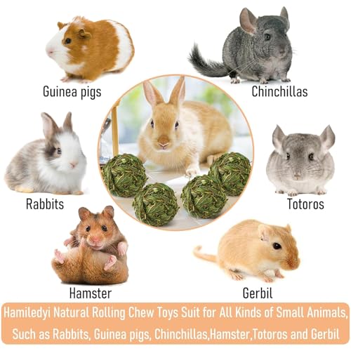 Hamiledyi 10 Pcs Rabbit Chew Ball Timothy Grass Ball Small Animal Activity Play Chew Toys Teeth Grinding for Bunny Rabbits Hamster Guinea Pigs Gerbils Chinchillas - style: Round 10 PCS