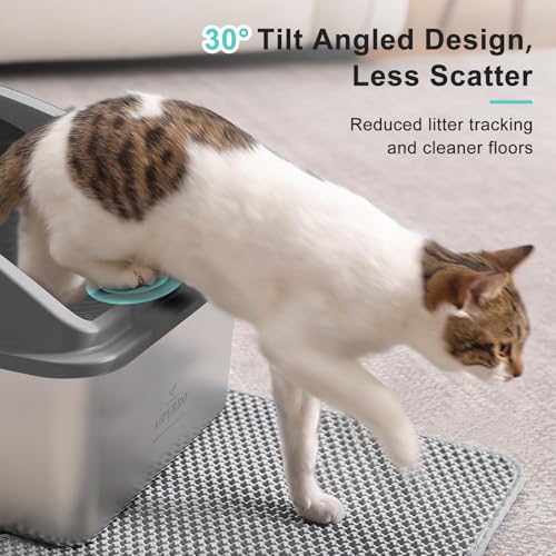 AIPERRO Stainless Steel Litter Box | XXL Deepened 8" Design Enclosed Box with Lid for Big Cats | High Sided, Anti-Urine Leakage | Non-Stick Bottom & Includes Litter Mat & Metal Scoop - color: Dark Grey, size: XX-Large