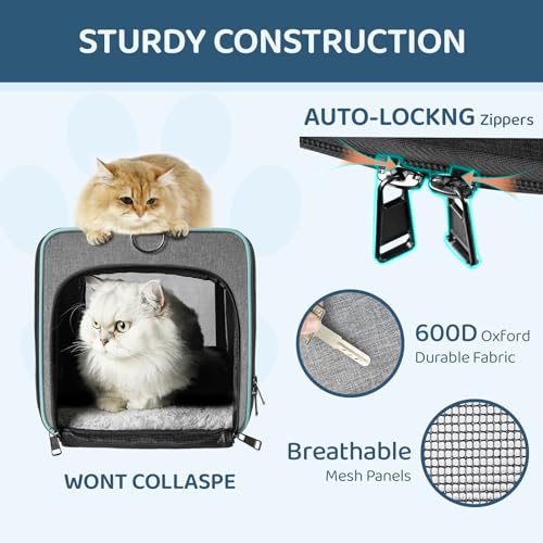 GAPZER Soft-Sided Pet Carrier for Air Travel 18x11x11 Inch, Underseat Cabin | Pet Airplane Crate Medium Cat 15 lbs Privacy Curtatin, Small Dog Crate Under 10 Pound TSA Approved Softsided Carry Cage Cabin - size: 18"x11"x11"