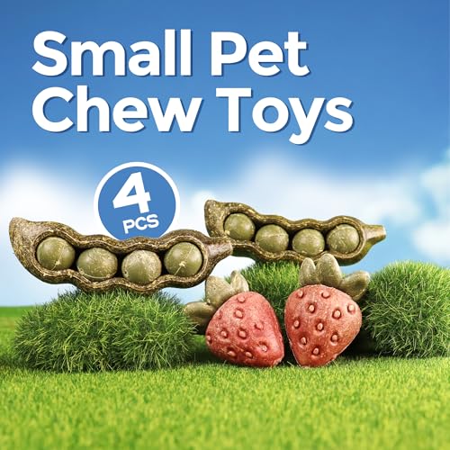 TEEWY 4PCS Guinea Pig Toys, Prevent Teeth Overgrowth, Natural Vegetables and Timothy Grass, Hamster Chew Toys, Guinea Pig Chew Toys, Chinchilla Toys, Peapod and Stawberry Chew Toy Set - style: 4PCS-Peapod and Stawberry