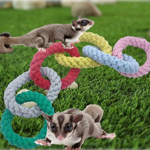 Sugar Glider Hanging Six-Ring Swing Toys And Climbing Rope Cage Accessories For Sugar Glider, Ferret, Hamster, Squirrel, Chinchilla, Parrots Exercising