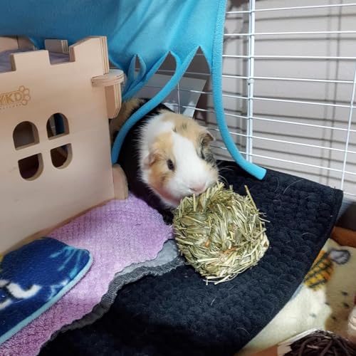 PINVNBY 6 Pack Rabbit Chew Grass Balls,Natural Timothy Woven Bunny Hay Ball Teeth Grinding Activity Play for Hamster Chinchillas Gerbils Guinea Pigs and Other Small Animal - size: 【6 PCS】