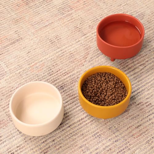 Waggo Uplift Ceramic Dog Bowl for Small Medium and Large Breeds - Heavyweight and Durable Pet Food and Water Dish Crock, Dishwasher Safe, Modern, Elevated Feeder (Small, Teracotta) - color: Teracotta, size: Small