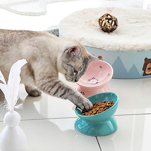 Sweejar Ceramic Raised Cat Bowls, Slanted Cat Dish Food or Water Bowls, Elevated Porcelain Pet Feeder Bowl Protect Cat's Spine, Stress Free, Backflow Prevention (Turquoise)