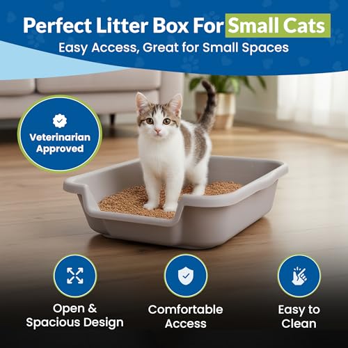 KittyGoHere Senior Cat Litter Box, Small Litter pan, Open Top Low Entrance Kitty Litter Box, Lightweight Low Entry Litters Box, Durable, Made in USA (2 Pack - Misty Gray) - color: Misty Gray, size: Small(2 Pack)