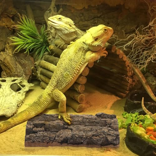 Large Bearded Dragon Tank Accessories, Natural Adjustable Reptile Climbing Toys Bendable Bridge, Reptile Habitat & Hermit Crabs Habitat Decor with Climbing Hammock Toys for Hermit Crab, Lizard, Snake