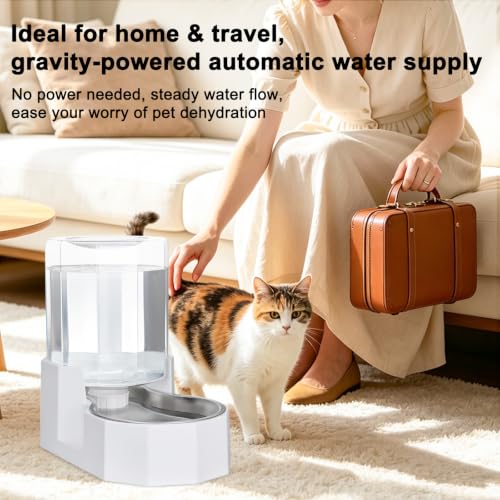 Sfozstra 4L Stainless Steel Gravity Water Dispenser:Cat Bowl | Stainless Steel, for Dogs & Cats, Bedroom Kitchen Corner Crate Area, No Electricity Required, Easy to clean - color: White, size: 4L Without Filter