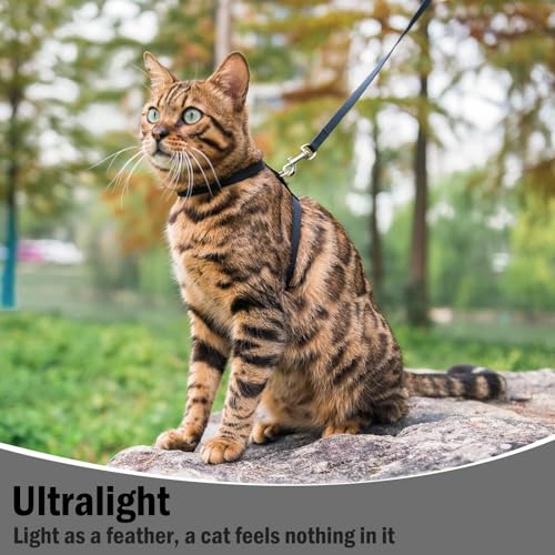 PUPTECK Adjustable Cat Harness and Leash Set Escape Proof Kitten Strap Collar for Walking Travel, Black - color: Black, size: Small