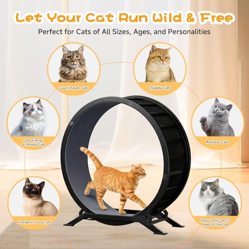 GTPLAYER Cat Wheels, 40" Diameter, Large Cat Exercise Wheel for Indoor Cats cat Treadmill Metal with Detachable Carpet & Teaser/Stickers, Ultra-Quiet Scroll Wheel with Latch, Safe and Stable, Grey