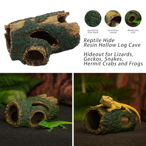 13 PCS Reptile Reptile Eco Bottle Decoration Set - vines, eco bottle plants, hanging greenery, leaf feeders, lizards, geckos, bearded dragons Landscape drawn hideout logs and habitat accessories
