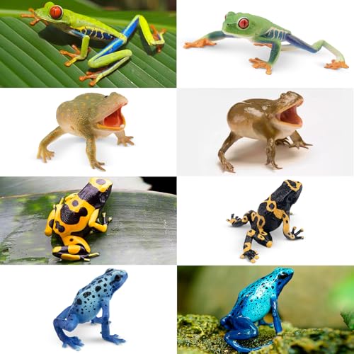 Toymany Frog Toy Figures, Plastic Rainforest Woodland Animals Toy Frogs Set with Realistic Poison Dart Frog, Cake Topper Party Favor Garden Flowerpot Plants Decor - style: Jungle Animal-2