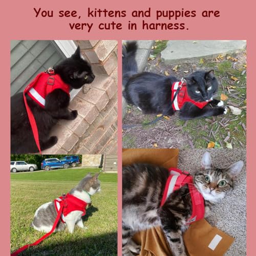 Cat Harnesses and Puppy Harness with Leashes Set, Escape Proof Cat Harness, Adjustable Reflective Soft Mesh Vest Fit Puppy Kitten Rabbit Ferrets's Outdoor Harness - color: Red, size: S (Chest: 9" - 11")