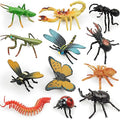 12 Insect Figurines for Kids, Plastic Animal Toys Tiny Portable Bugs Figures Playset Montessori Toy Educational Game for Homeschool Preschool Toddler Kids - style: Insect(excluding cards)