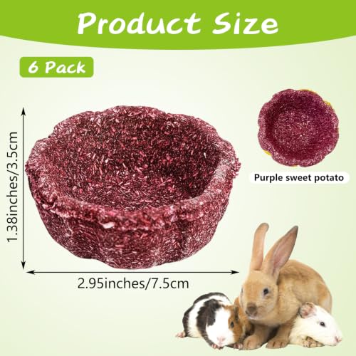 6 Pack Rabbit Chew Toys for Teeth Edible Timothy Hay Chewing Bowl Natural Guinea Pig Toys Small Animal Molar Treats for Bunny Chinchilla Mice Hamster (Purple) - color: Purple