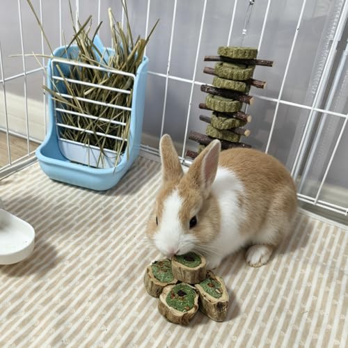 Rabbit Chew Toys for Teeth Guinea Pig Treats Papaya Wood for Bunny (10.5oz) | bunny supplies,rabbit enrichment toys,rabbit stuff,rabbit toys for bunnies boredom,for bunny guinea pig chinchilla Hamster - size: 10.5oz (A)
