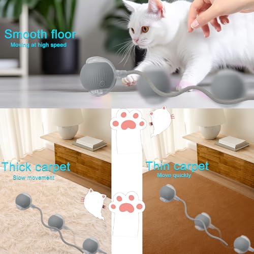 Interactive Cat Dog Toy Ball with LED Light, Automatic Rolling(Grey) | String Tail and LED Light Design, Motion Activated, Suitable for Interactive Indoor Pet Play and Exercise - color: Grey