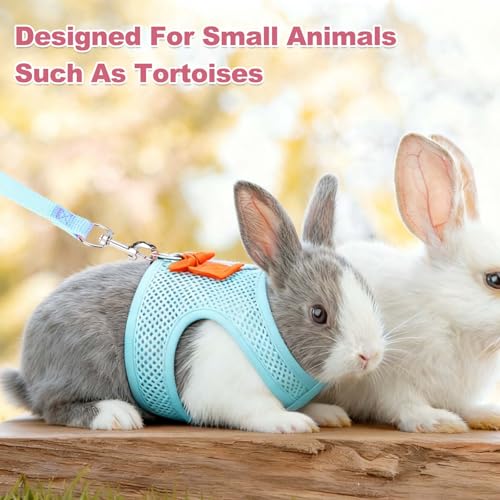 Rabbit Harness and Leash, Small Pet Cute Vest Harness Leash Soft Adjustable Buckle Breathable Mesh (M, Gray) for Bunny Kitten Small Pig Puppies Camping Hiking Training - color: Gray, size: M
