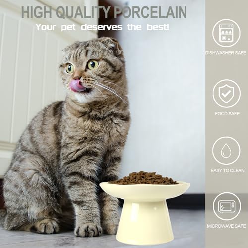 Wide Shallow 6.1" Raised Cat Bowls, Ceramic Elevated Food Plate for Flat Faced Cats and Small Dogs, Porcelain Feeder Bowl, Stress Free, Protect Cat’s Spine, Cream - color: Cream-Shallow