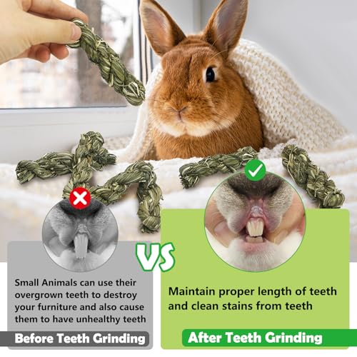 Hamiledyi 30 PCS Rabbit Chew Sticks Natural Grass Timothy Hay Sticks Handmade Guinea Pigs Chew Toys for Teeth Molar Snacks for Chinchilla Bunny Hamster and Other Small Animals - size: 0.48 Ounce (Pack of 30)