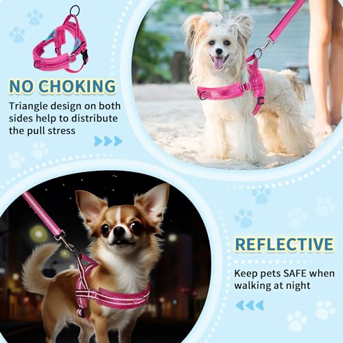 SlowTon No Pull Small Dog Harness and Leash Set with Front Clip | Soft Padded, Neck & Chest Adjustable, Lightweight, Anti-Twist, Puppy Vest Harness Pet Lead Combo for Small Medium Dog, FU XXS - color: Fuchsia, size: XX-Small