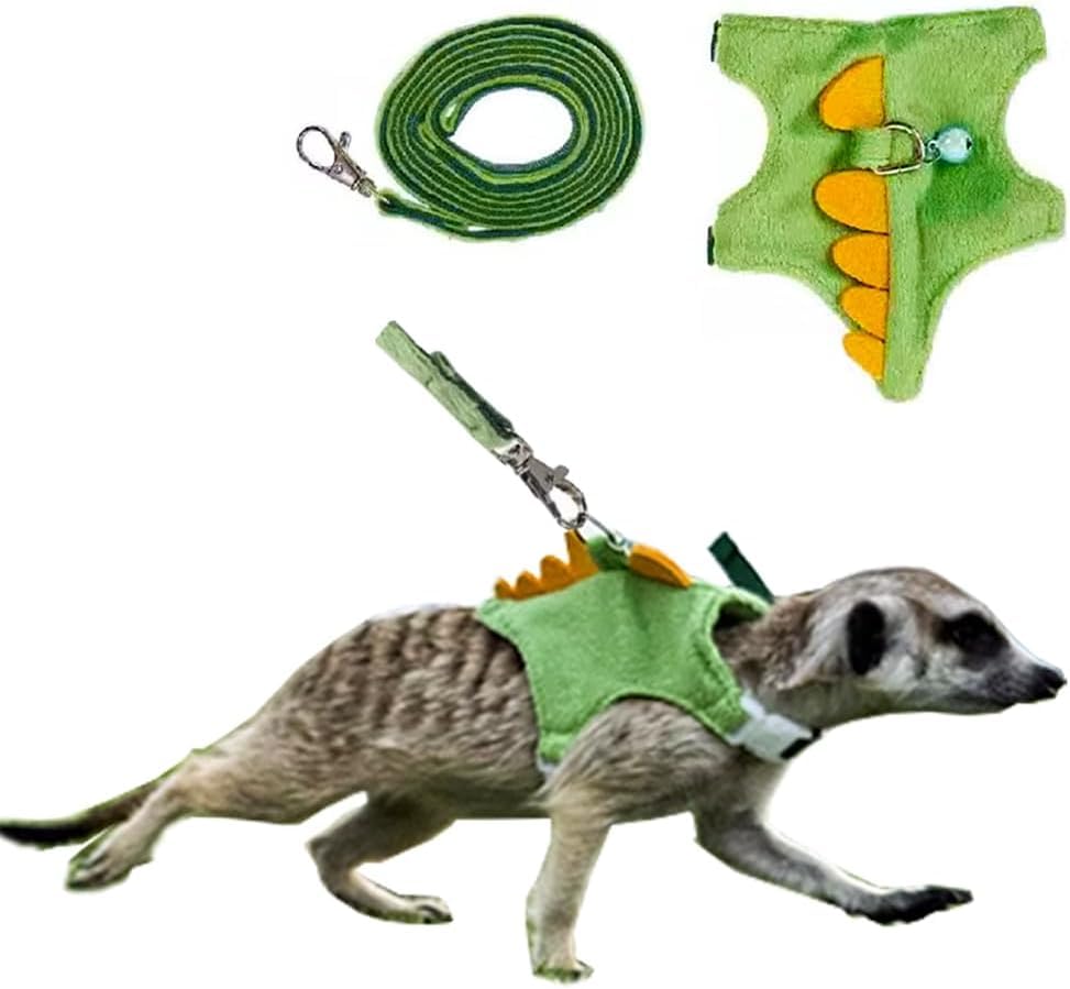 Ferret Harness and Leash Set Small Animals Vest Harness with Safe bell Dinosaur Shaped Walking clothes for Baby Rabbit Guinea pig Teacup Chihuahua Mouse and other small pet (Green) - color: Green