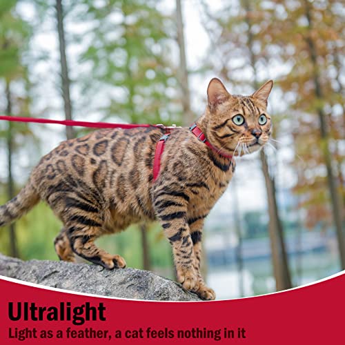 PUPTECK Adjustable Cat Harness and Leash Set Escape Proof Kitten Strap Collar for Walking Travel, Red - color: Red, size: Small