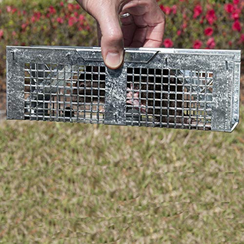 Havahart X-Small Animal Trap, 2-Door Humane Trap for Mice, Voles, Shrews | Humane Catch & Release Trap for Moles & Small Rodents, Galvanized Steel Mesh Construction, Weather-Resistant, Mouse Traps