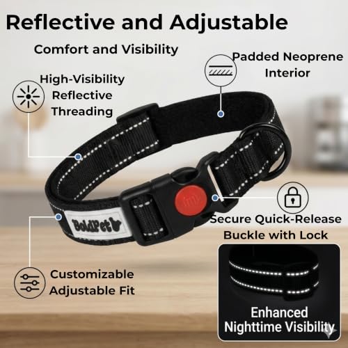 Retractable Dog Leash with LED Flashlight (2 AAA Batteries Incl) & Reflective Padded Dog Collar -10ft Tangle-Free Heavy Duty Leash Set for Night Walking Safety-Puppy Essentials (Up to 44lbs)
