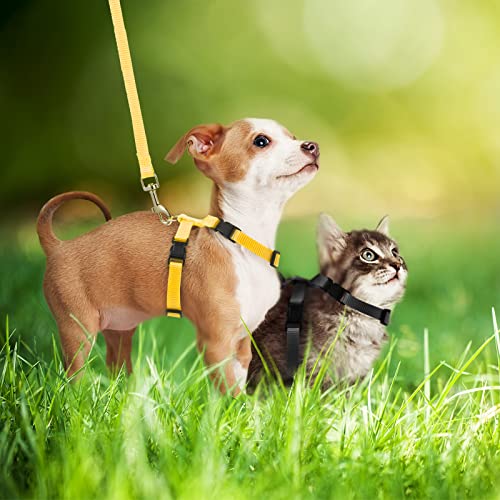 Outus 5 Pieces Adjustable Rabbit Harness and Leash Set Escape Proof Bunny Harness Vest for Pet Running Walk Jogging Bunny Cat Puppy Kitten Ferret and Other Small Pet(Lovely Color) - color: Lovely Color
