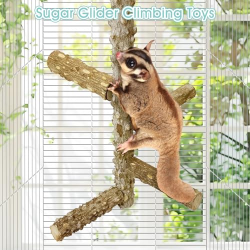 BNOSDM Sugar Glider Toy Natural Prickly Ash Wood Perch Stand Squirrel Hanging Wooden Climbing Pole Hamster Paw Grinding Perch Small Animal Cage Accessories for Chinchillas Rats Gerbil - color: Prickly Ash Wood - Climbing Perch
