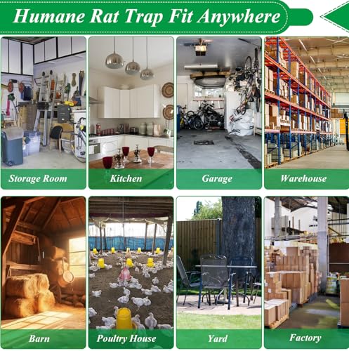 2 Packs Humane Rat Mouse Trap Outdoor Live Animal Cage Indoor & Outdoor | Silver Iron Galvanization, Reusable Safe for Children & Pet, Waterproof