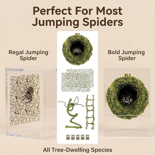 Jumping Spider Enclosure Accessories Kit, Magnetic Moss Ball Hideout, 2 Mesh Nets & Leafy Rope Ladder, 3D Forest Canopy Habitat with 5 Magnets for Jumping Spiders Fun Enclosure Accessories